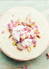 Rose Pistachio Baked Cheesecake